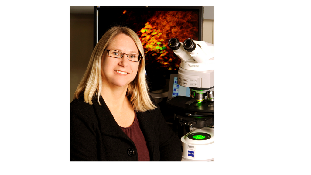 Neuroscience & Pharmacology Seminar: Serena Dudek, PhD promotional image